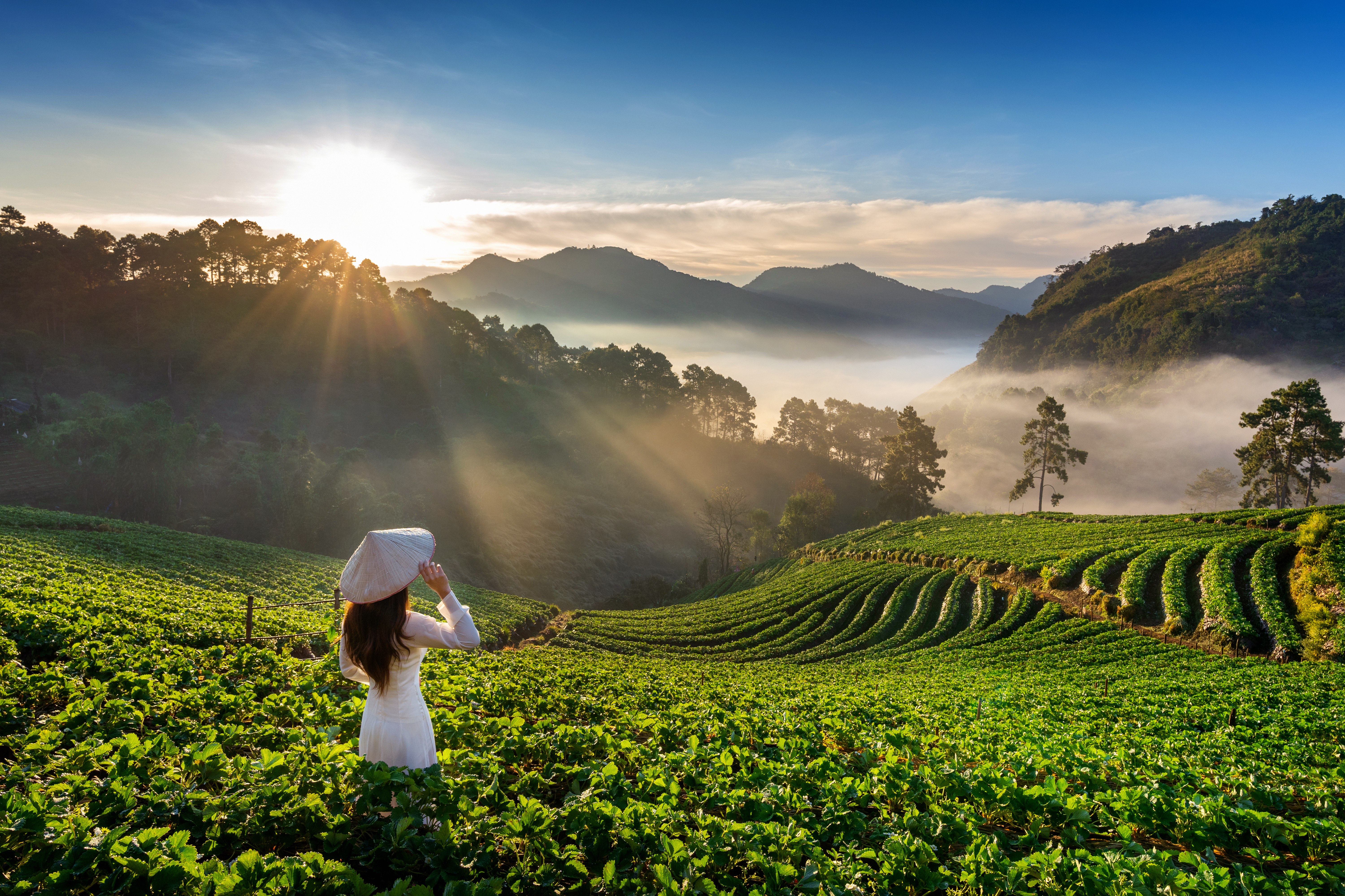 Munnar - Grand Royal Tours
