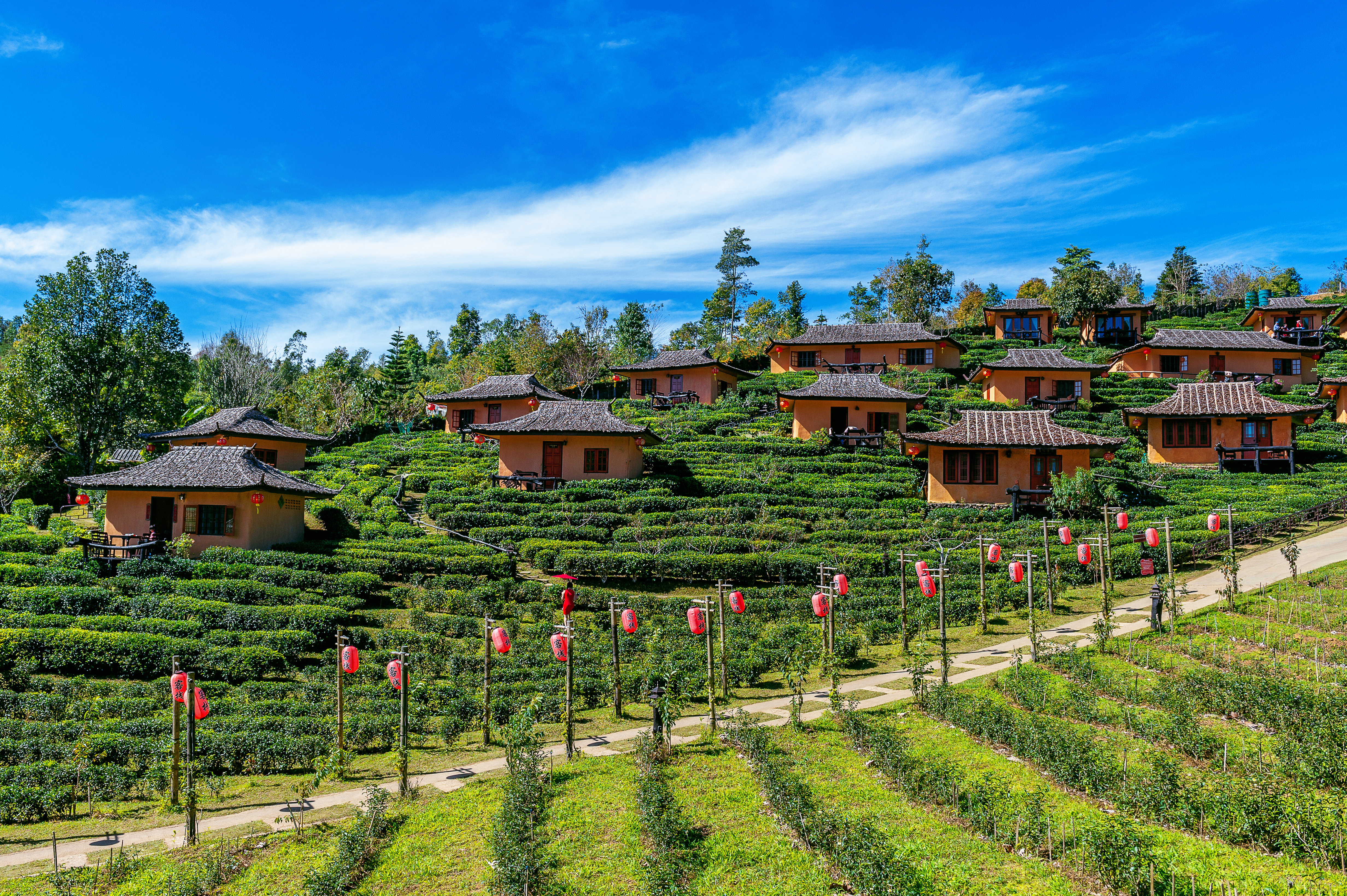 Darjeeling - Grand Royal Tours