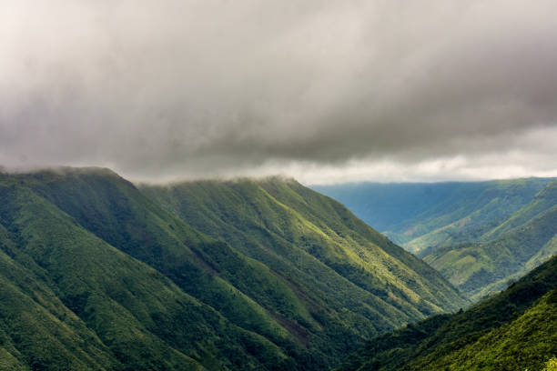 Assam and Meghalaya Group Tour ex BLR 