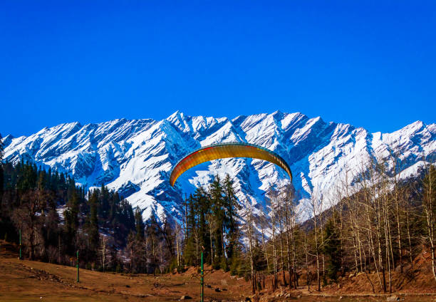 Simla and Manali Group Tour