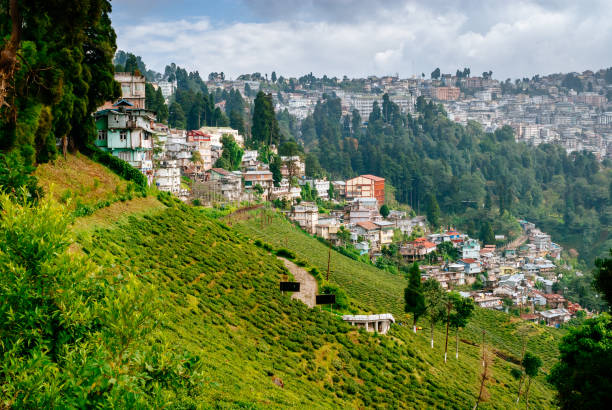 Sikkim and Darjeeling Group Tour