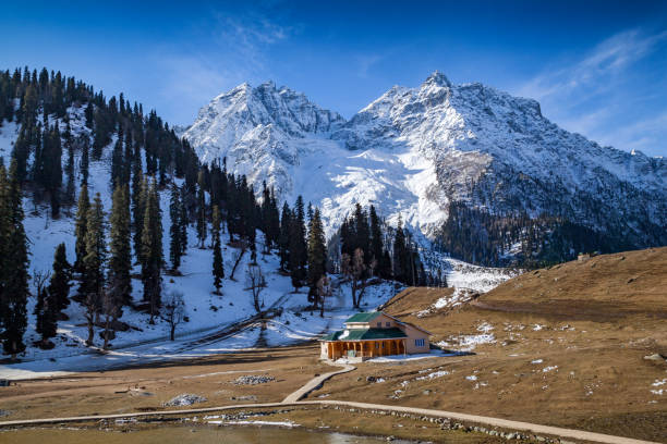 Kashmir Paradise Group Tour 