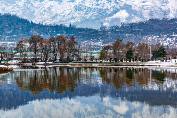 Kashmir Paradise Group Tour 