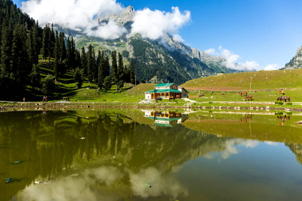Kashmir Paradise Group Tour 